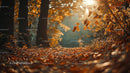 Golden Autumn Path with Sunlit Foliage in Forest
