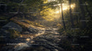 Sunlit Forest Scene with Tranquil Stream and Rocky Pathway