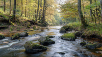 Autumn Stream Flowing Through a Tranquil Woodland