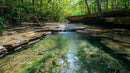 Crystal Clear River Flowing Through Lush Tropical Jungle