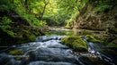 Lush Forest Stream Flowing Through Verdant Landscape
