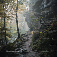 Misty Forest Path through Rocky Autumn Landscape