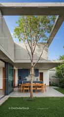 Modern Concrete Structure with Outdoor Dining and Tree Canopy