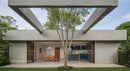 Modern Concrete Home with Tree and Open Kitchen
