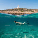 Snorkeler Enjoying Clear Waters near Scenic Lighthouse