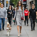 Stylish Woman Walking Husky on City Sidewalk