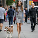 Stylish Woman Walking Husky Dog on City Street