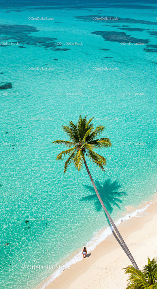 Tropical Paradise with Palm Tree and Turquoise Waters