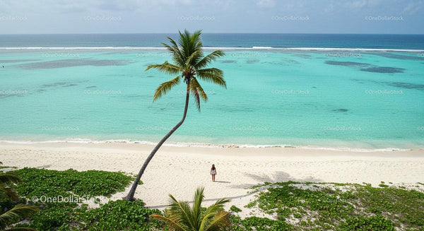 Woman Strolling on Serene Tropical Beach with Palm Tree