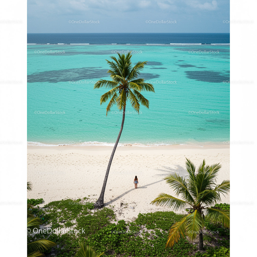 Tropical Beach with Palm Trees and Turquoise Ocean