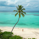Tropical Island Beach with Palm Tree and Turquoise Waters