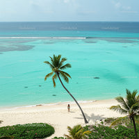 Tropical Beach with Palm Trees and Turquoise Ocean
