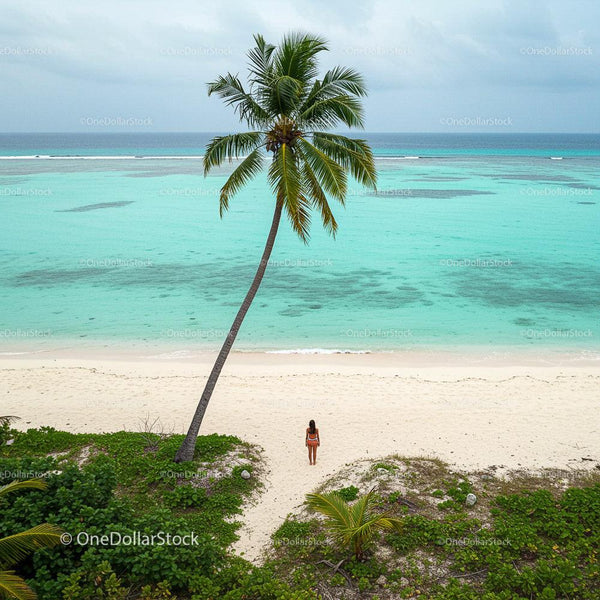 Woman Strolling on a Tropical Beach with Palm Tree and Turquoise Sea