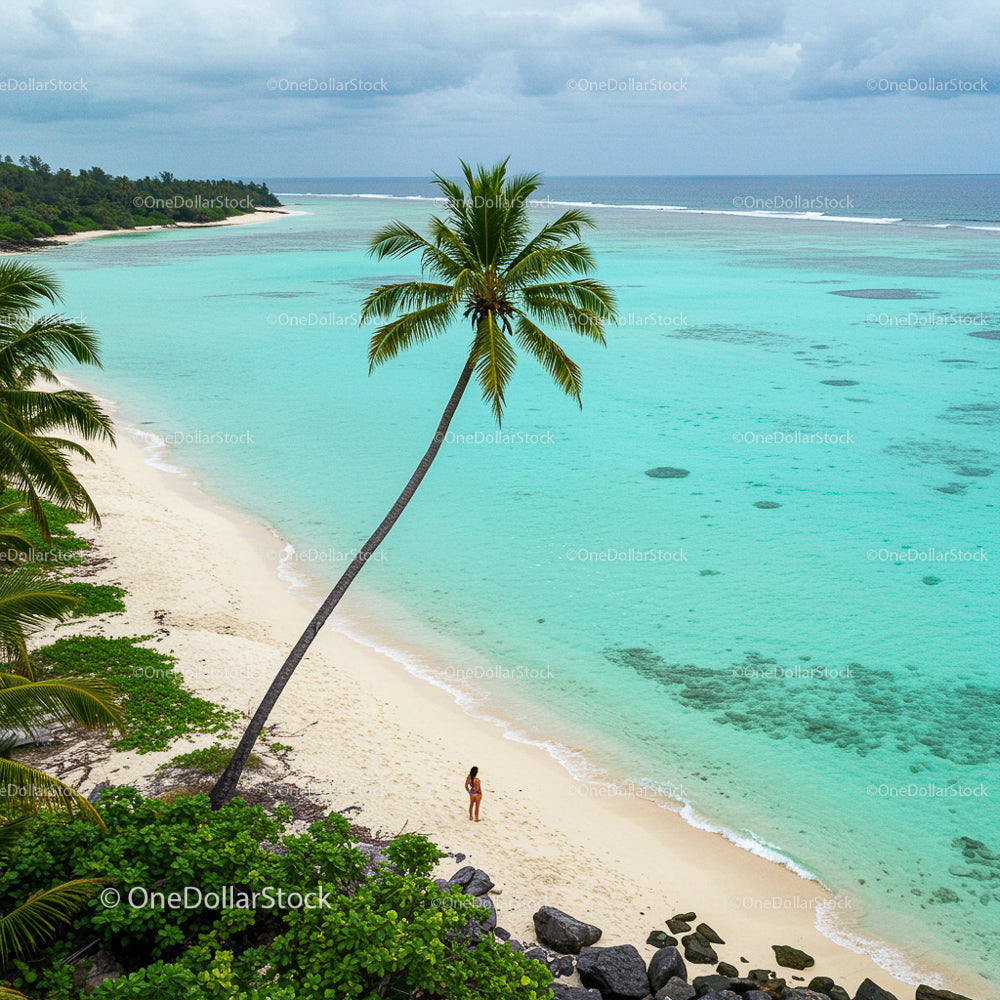 Plaża Tropical Island z palmami i błękitnym morzem