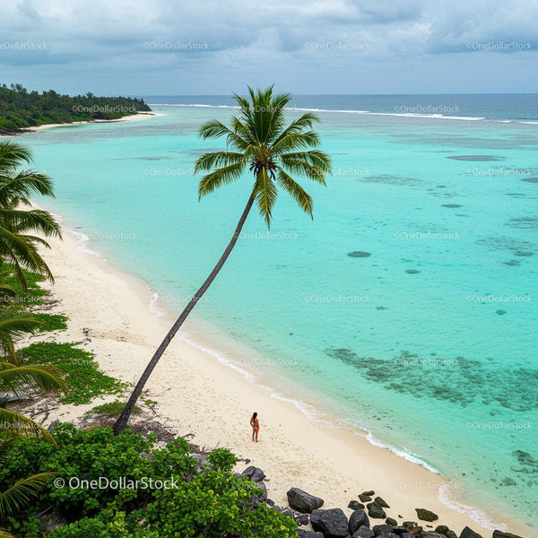 Tropical Island Beach with Palm Tree and Azure Sea