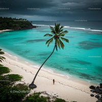 Tropical Beach with Leaning Palm Tree and Turquoise Ocean