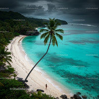 Serene Tropical Beach with Palm Tree and Turquoise Sea