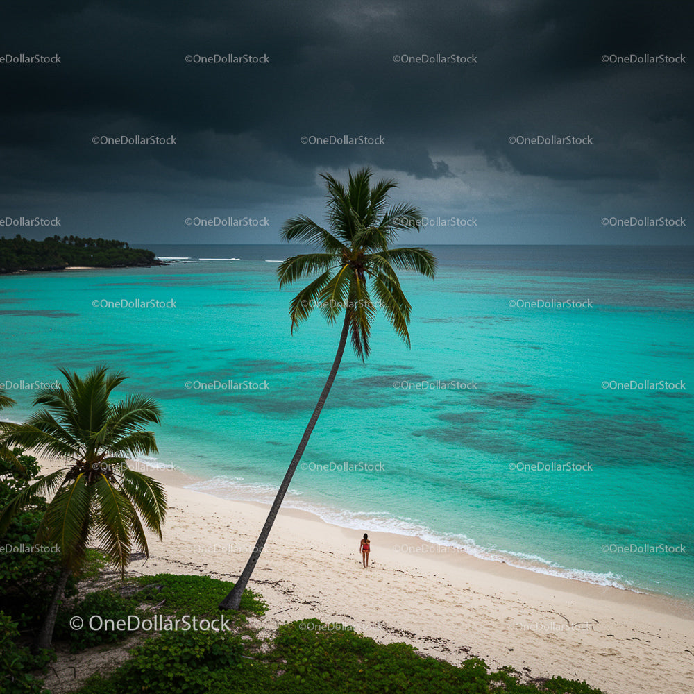Solitary Walk on Tropical Beach with Palm Trees and Turquoise Sea
