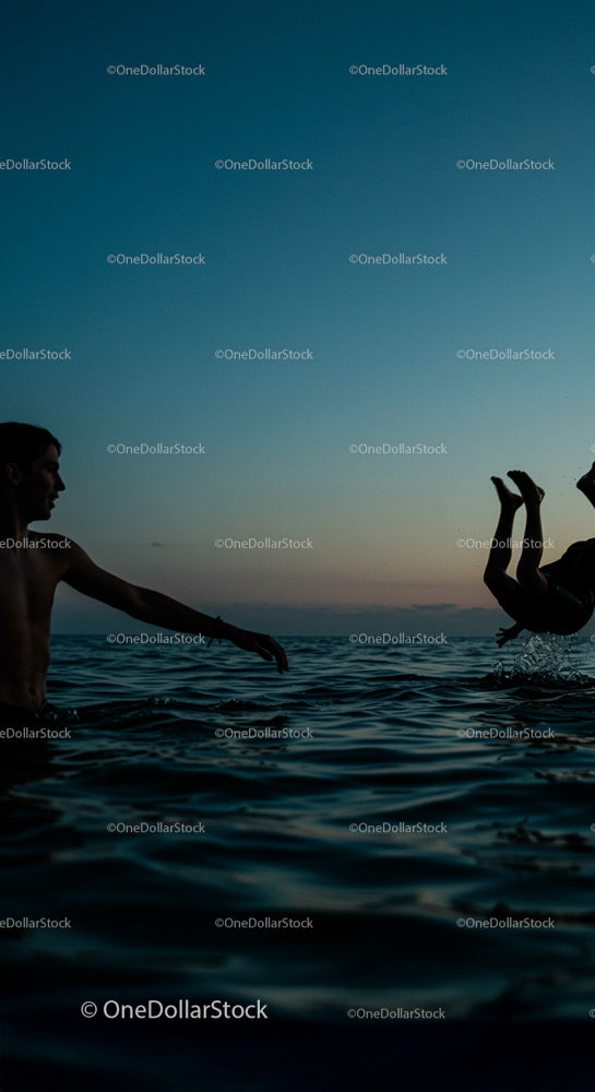 Silhouettes Enjoying a Playful Swim at Sunset