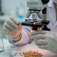 Scientific Analysis of Seeds Under Microscope in Laboratory