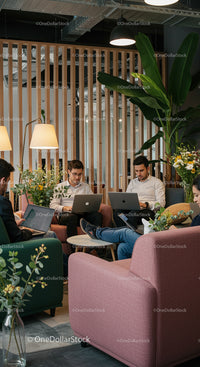 Modern Office with Indoor Plants and Collaborative Work