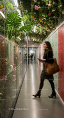 Woman Walking Through a Modern Office Hallway with Lush Plants
