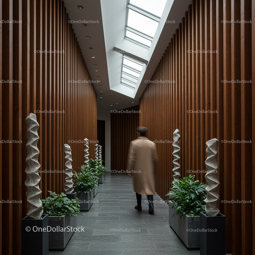 Modern Hallway with Skylight and Indoor Greenery