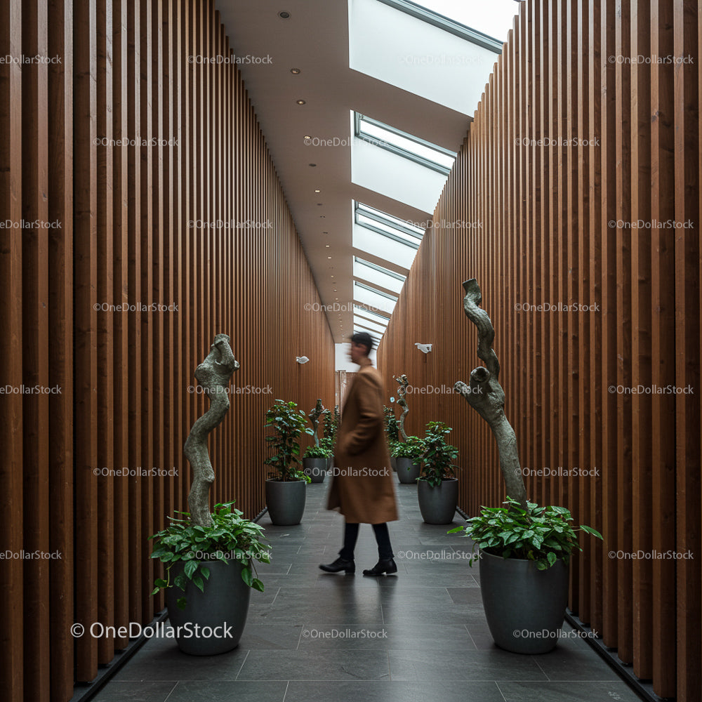 Modern Wooden Hallway with Indoor Plants and Skylights