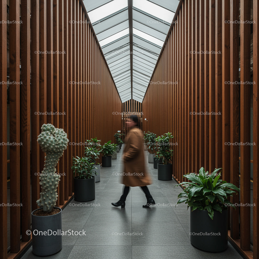 Modern Corridor with Indoor Plants and Wooden Panels
