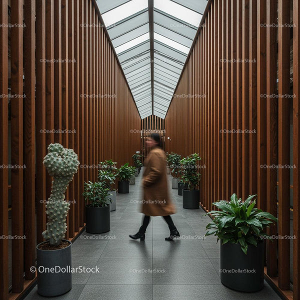 Modern Corridor with Indoor Plants and Wooden Panels