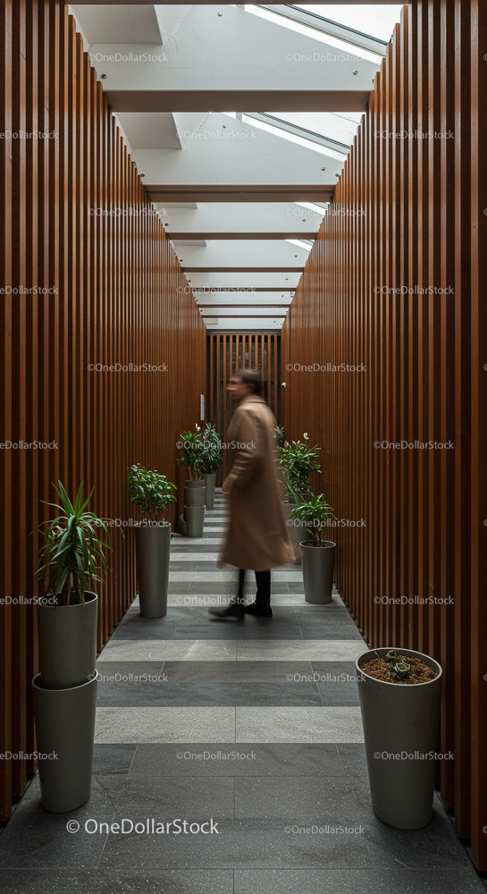 Modern Corridor with Potted Plants and Wooden Panels