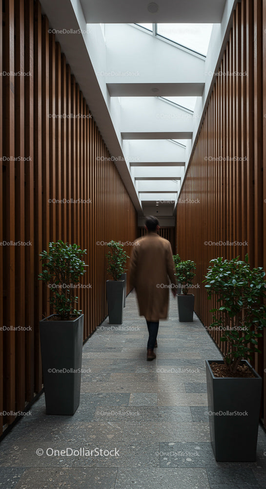 Modern Corridor with Indoor Plants and Skylight