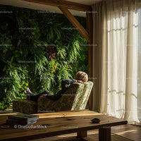 Cozy Living Room with Lush Fern Wall and Natural Light