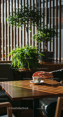 Cozy Cafe Moment with Coffee and Greenery