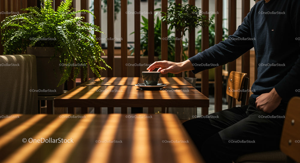 Sunlit Cafe with Indoor Fern and Morning Coffee