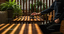 Sunlit Cafe with Indoor Fern and Morning Coffee
