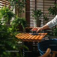 Sunny Room with Lush Indoor Plants and Morning Coffee
