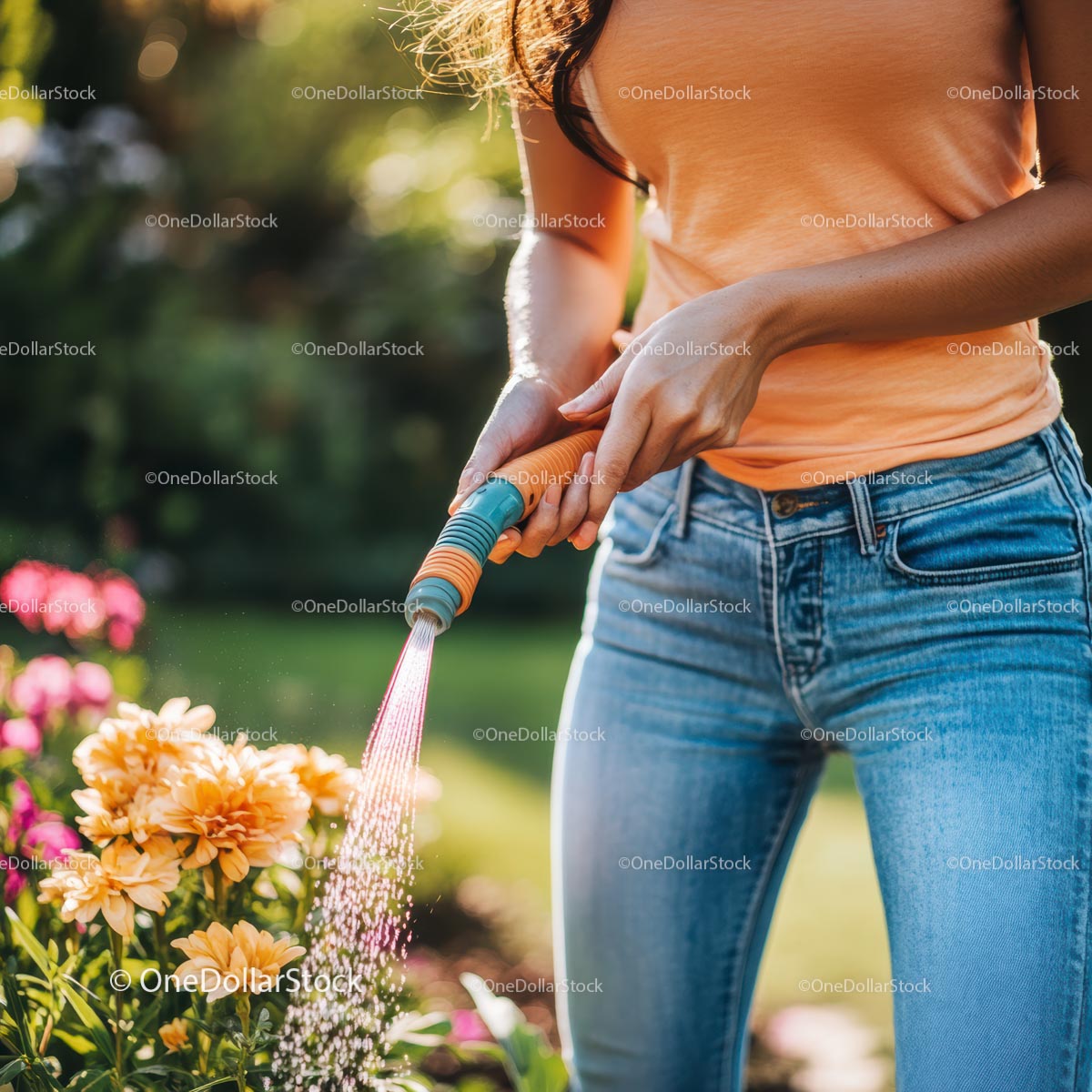 Woman Watering Dahlia Flowers in a Lush Garden