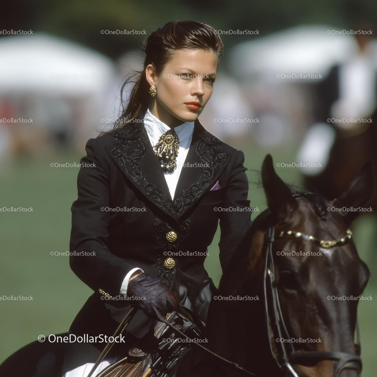 Elegant Elegant Equestrian Rider at Dressage Event