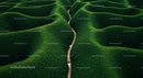 Person Walking Along Winding Path Amidst Lush Green Hills