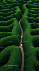 Aerial View of Green Labyrinth Pathway