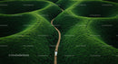 Lone Traveler on Serene Green Pathway