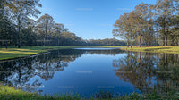 Tranquil Lake Reflecting Forest under Clear Blue Sky