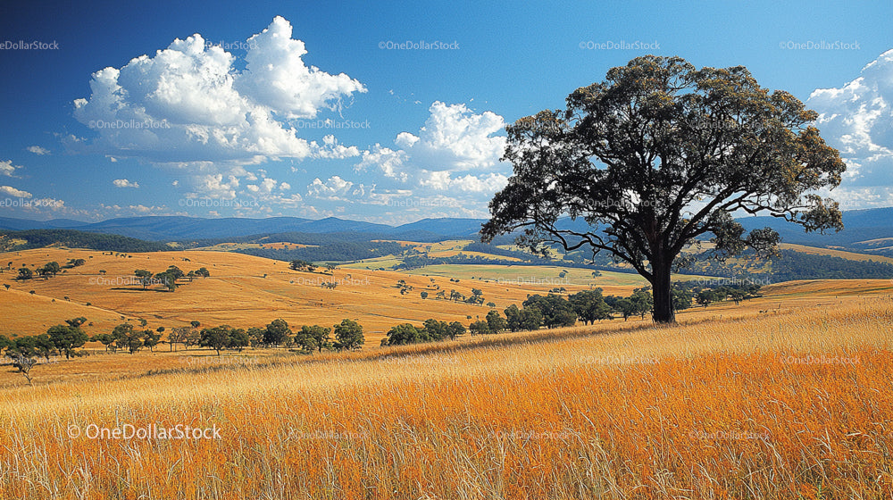 Lone Tree Standing in Golden Rolling Hills Under Blue Sky