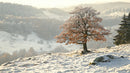 Snowy Winter Landscape with a Lone Oak Tree