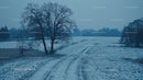 Serene Winter Landscape with Snowy Path and Bare Trees