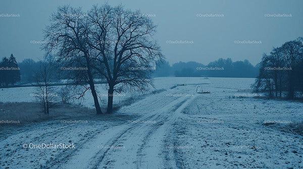 Serene Winter Landscape with Snowy Path and Bare Trees