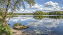Scenic Lake with Birch Trees and Reflective Waters