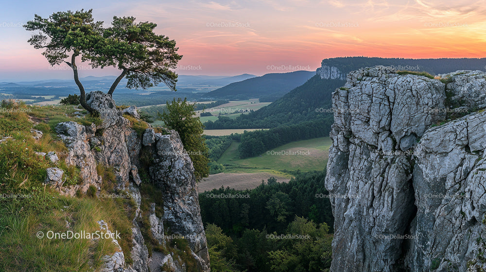 Majestic Pine on Rocky Cliff at Sunset with Expansive Valley View