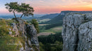 Majestic Pine on Rocky Cliff at Sunset with Expansive Valley View